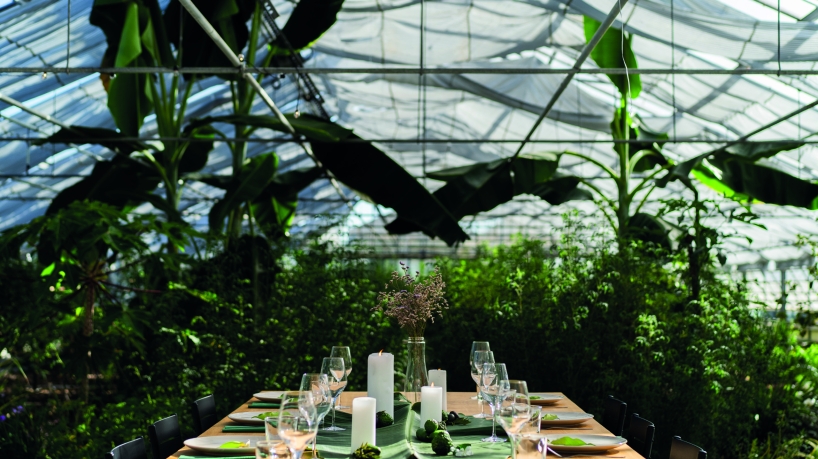 13b4caeb91ef9ae9b53369804203c1ba4212c851