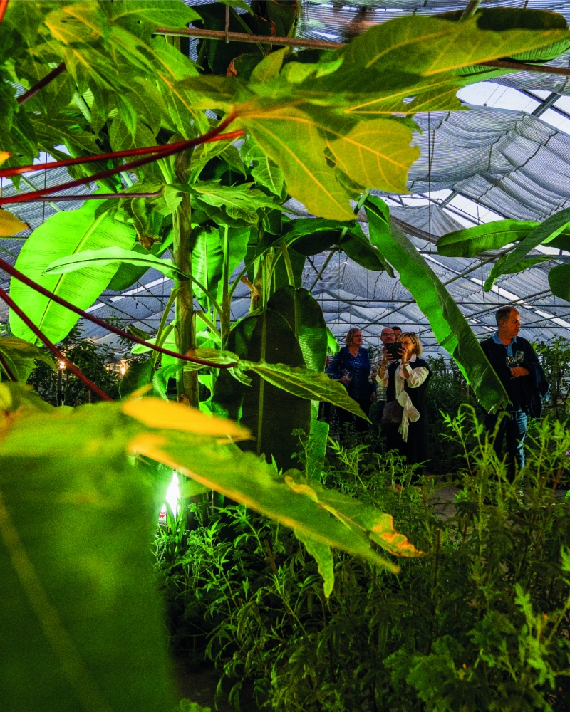 3b127ec8786135caeecfa2d9ceb3dcb901bb8f51