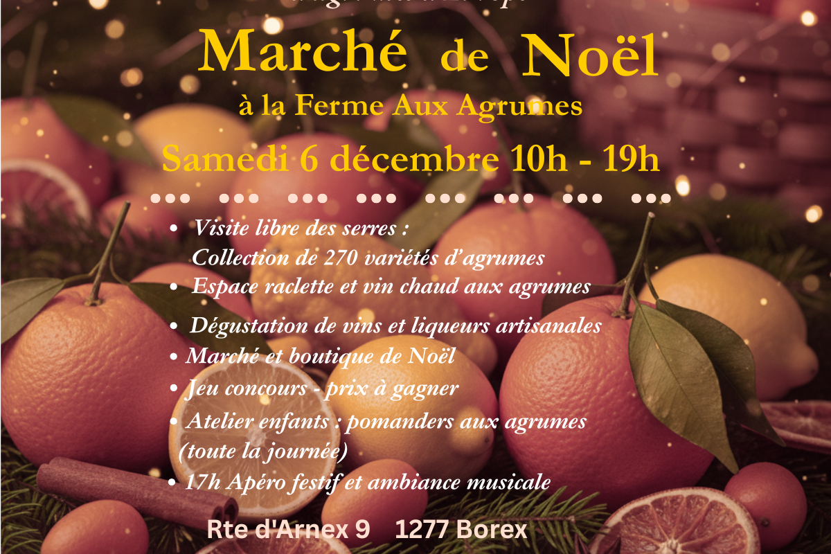 Marché de Noël 2025 - LFAA
